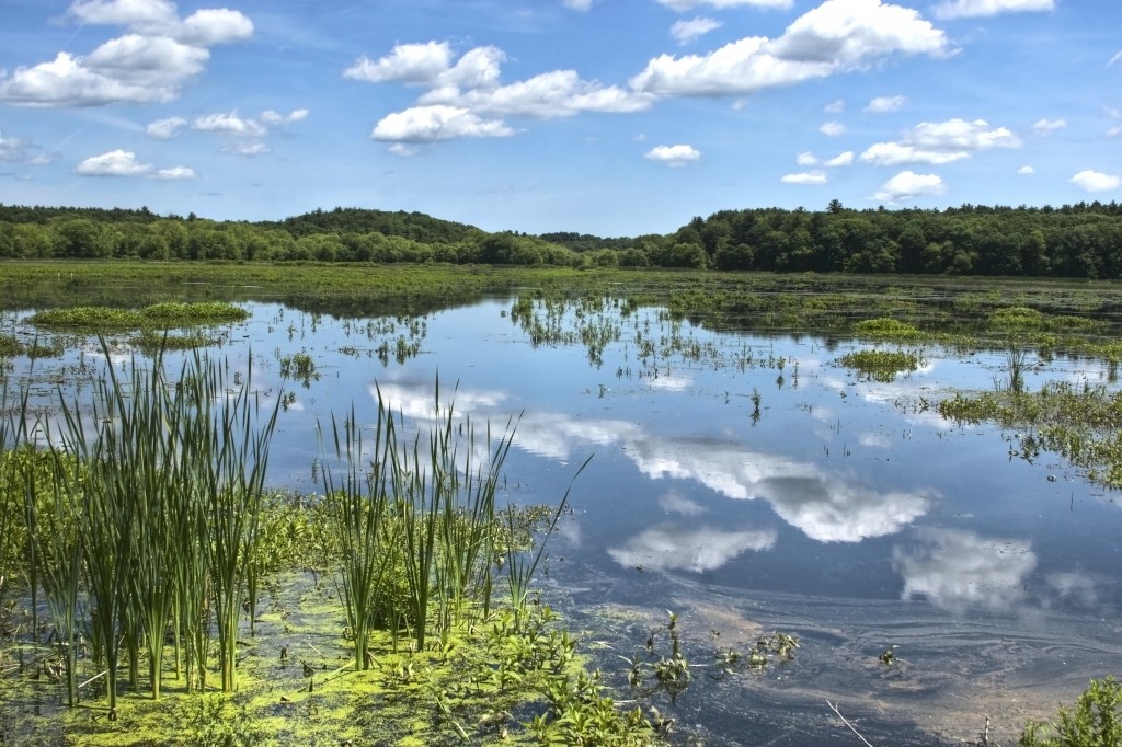 massachusetts_nature_outside